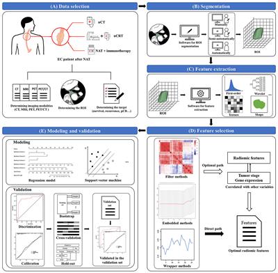 The application of radiomics in esophageal cancer: Predicting the response after neoadjuvant therapy